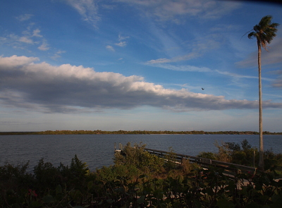 [The image was taken atop the mound so this is looking down at the vegetation at the water's edge and the dock exending into the water. There is one very tall palm tree on the right side of the image. There is one patch of white grey cloud extending through the middle of the blue sky across the entire image.]